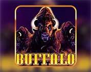 BUFFALO MC